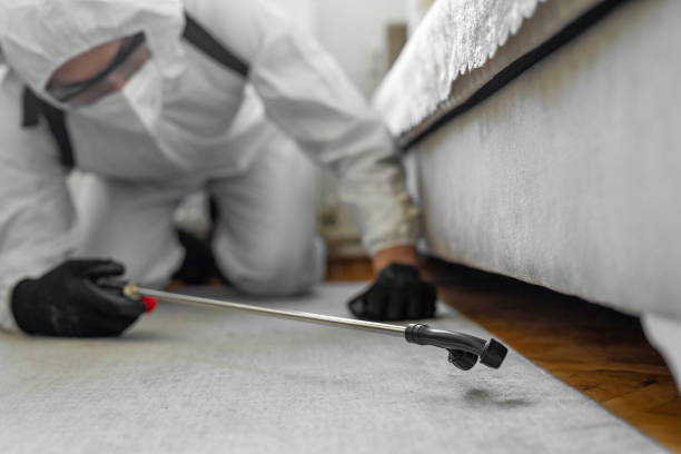 Professional Termite Control technician working in New Bremen, OH