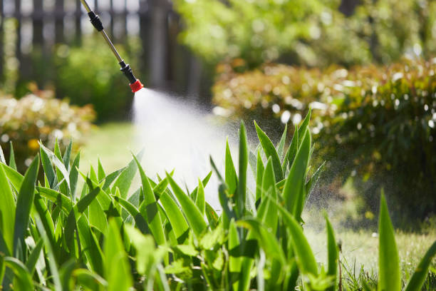 24/7 Emergency Termite Control experts in New Bremen, OH