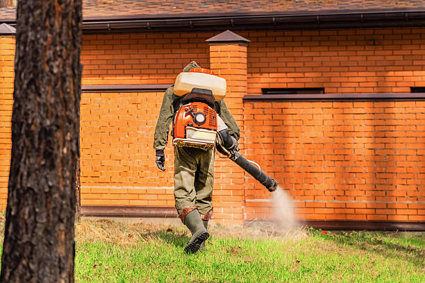 Trusted Bed Bug Control service in New Bremen, OH - Nex Pest Control